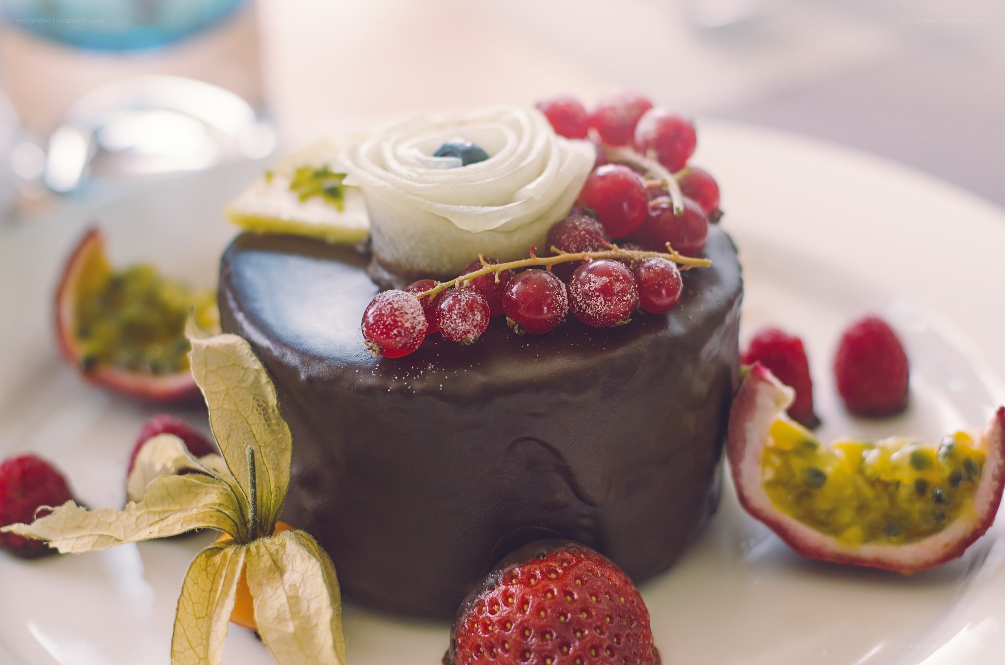 chocolate cake with berries