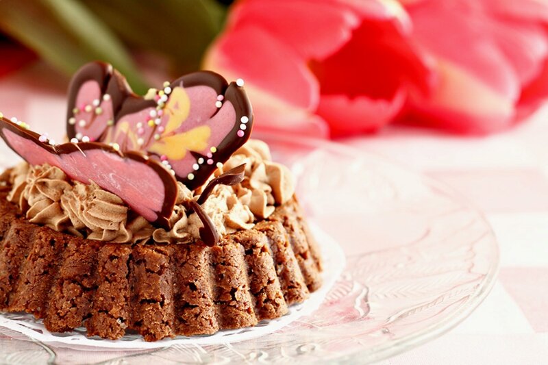 Chocolate Cake with Butterfly