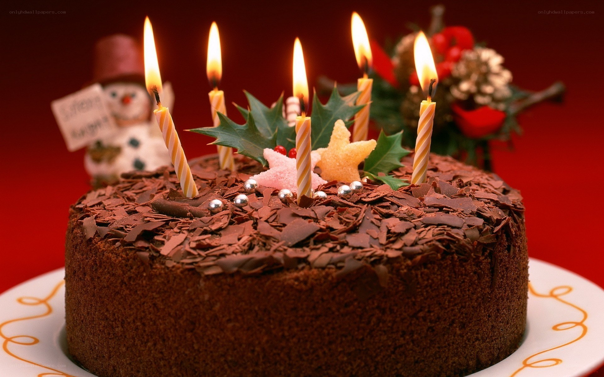 Chocolate cake with candles