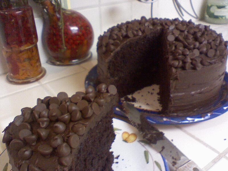 chocolate cake with chocolate chips