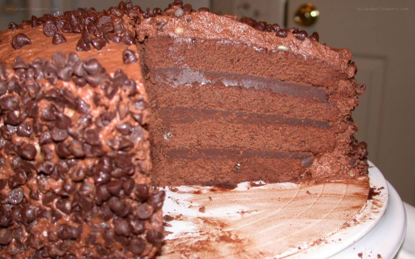 chocolate cake with chocolate chips
