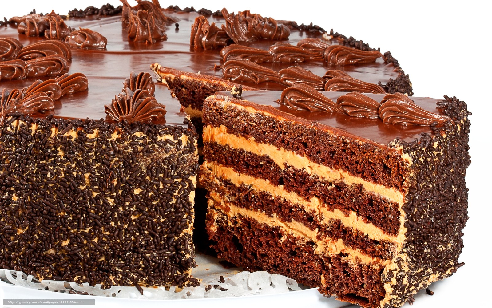 chocolate cake with cream layers