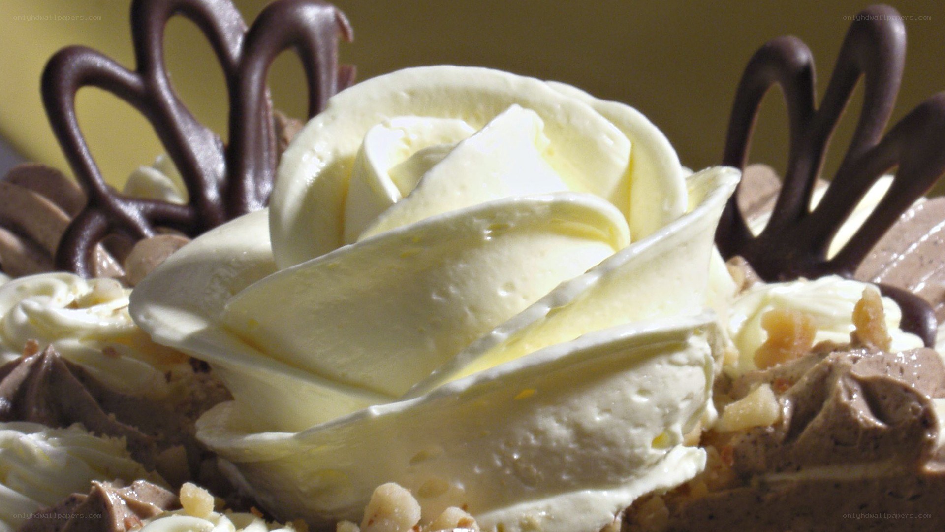chocolate cake with cream rose