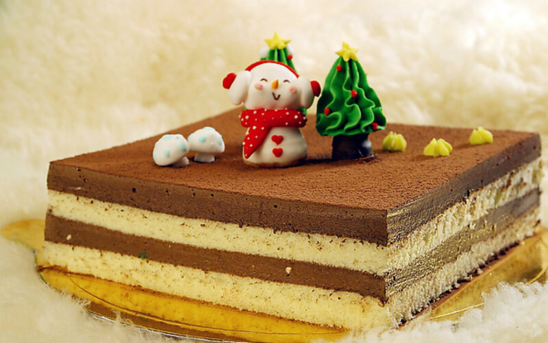 Chocolate Cake with Decorations — Brown, Festive