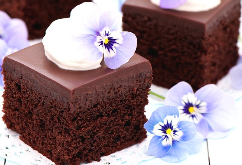 Chocolate Cake with Flower — Brown, Delicate, Photograph