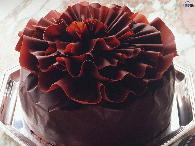 Chocolate Cake with Flower — Brown, Delicate