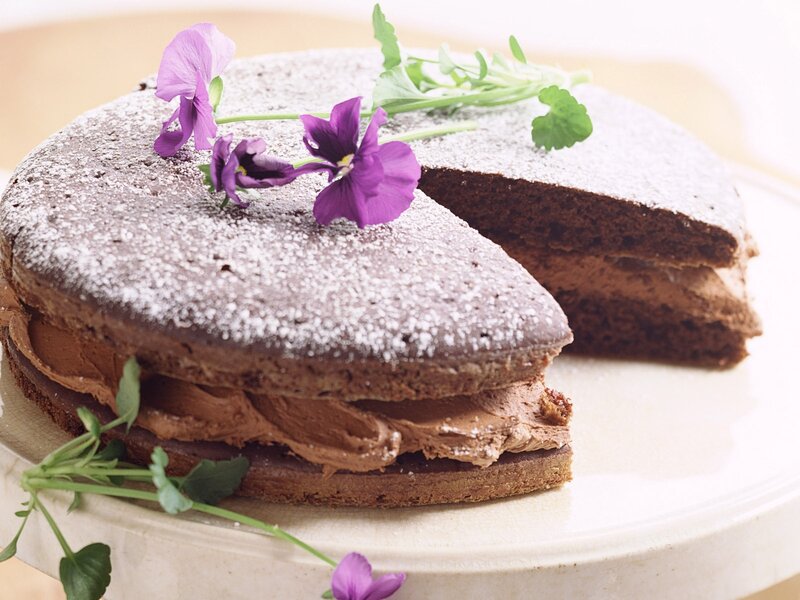 Chocolate Cake with Flowers — Brown, Delicate, Photograph
