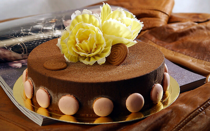 Chocolate Cake with Flowers — Brown, Delicate