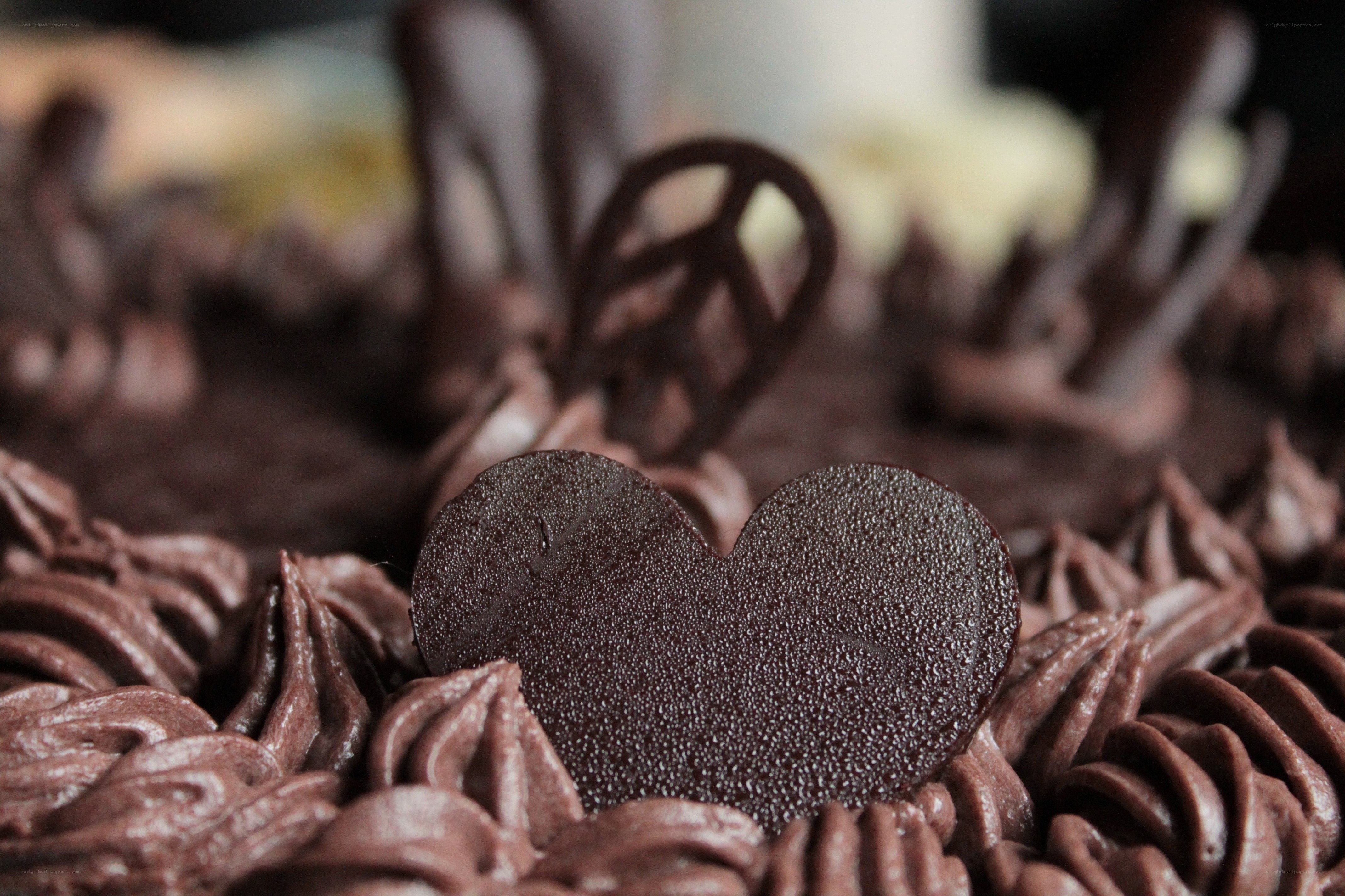 Chocolate cake with heart decoration