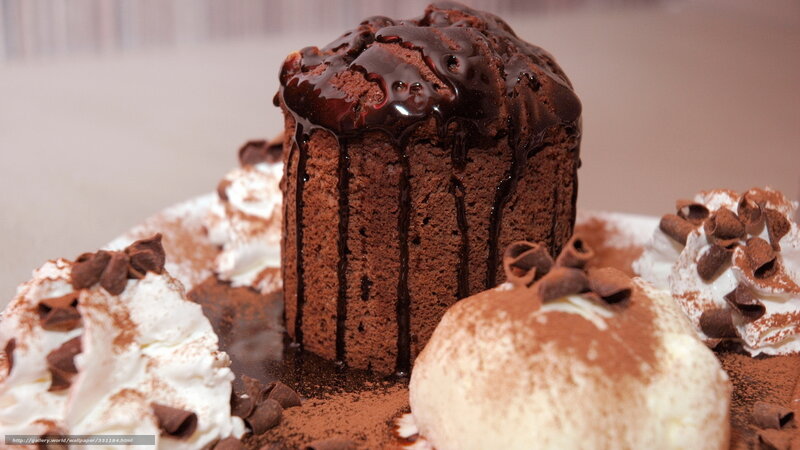 Chocolate Cake with Ice Cream — Brown, Indulgent