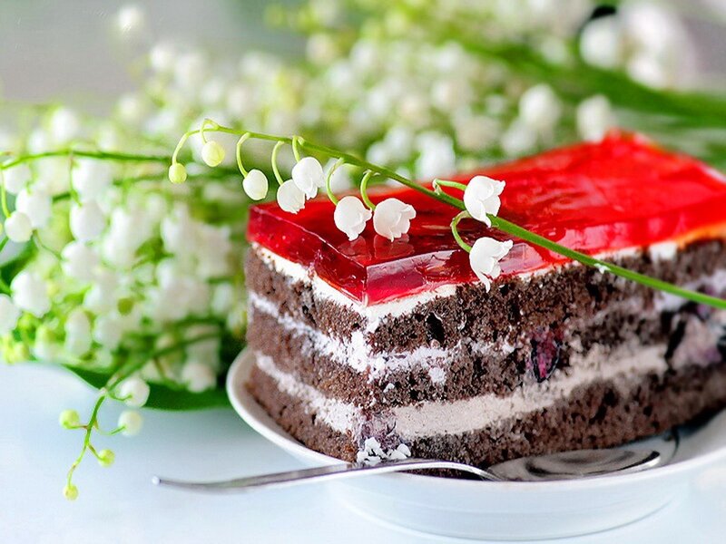 Chocolate Cake with Jelly