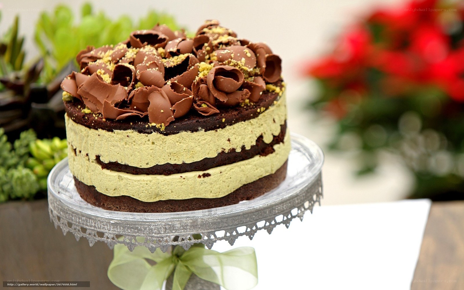 chocolate cake with pistachio cream