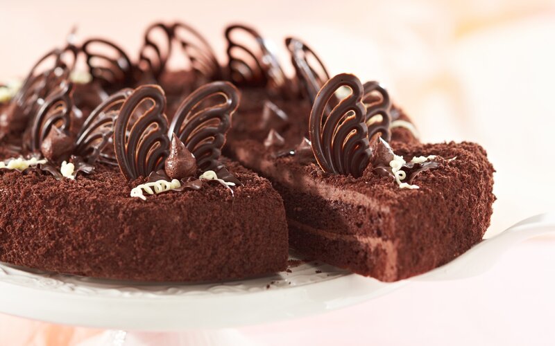 Chocolate Cake with Slice — Brown