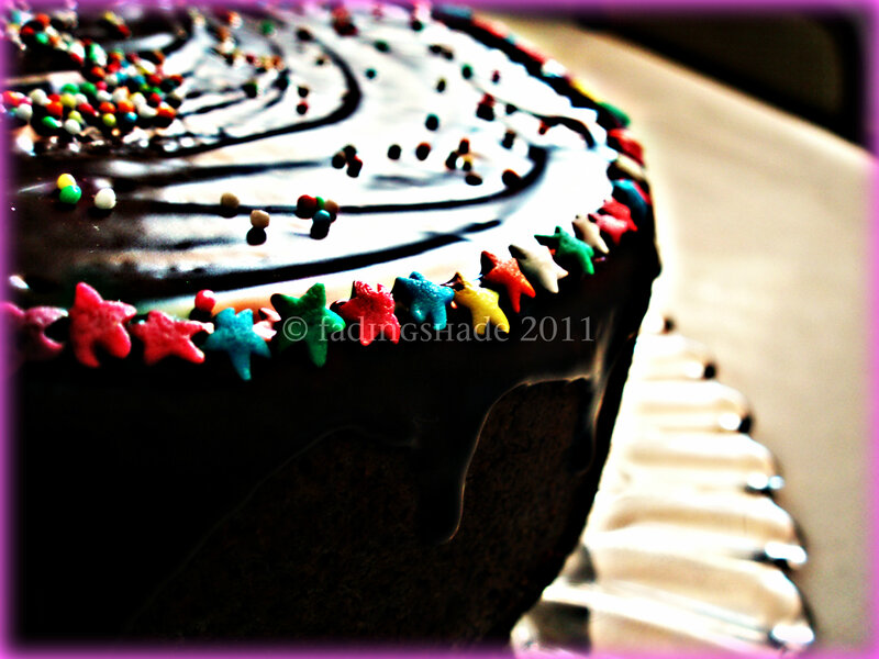 Chocolate Cake with Sprinkles — Brown