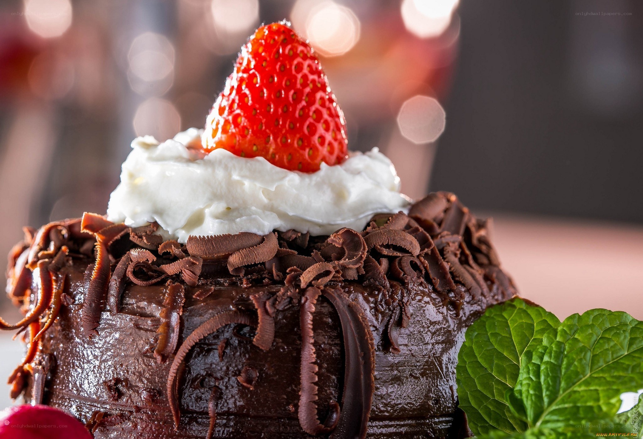 chocolate cake with strawberry