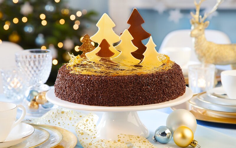 Chocolate Cake with Trees — Brown