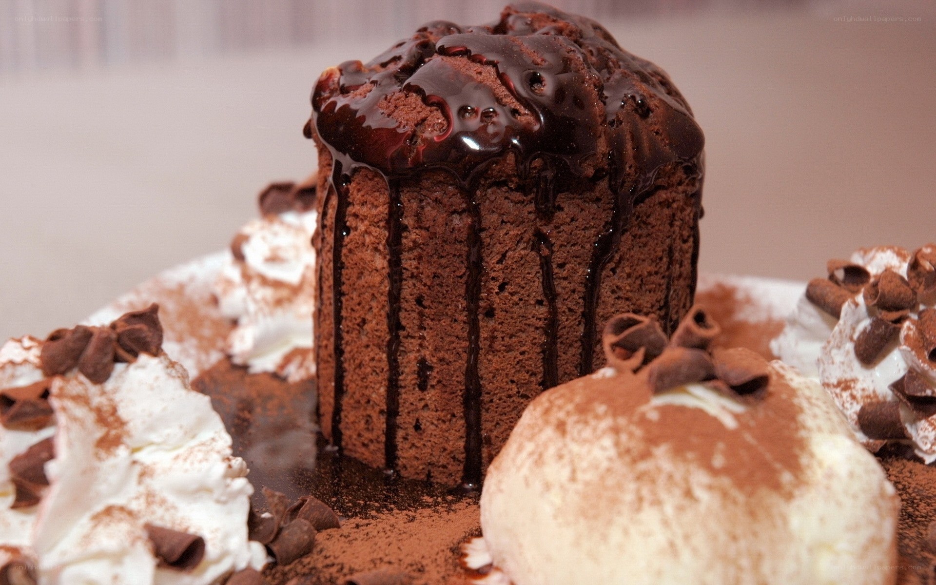 Chocolate cake with whipped cream