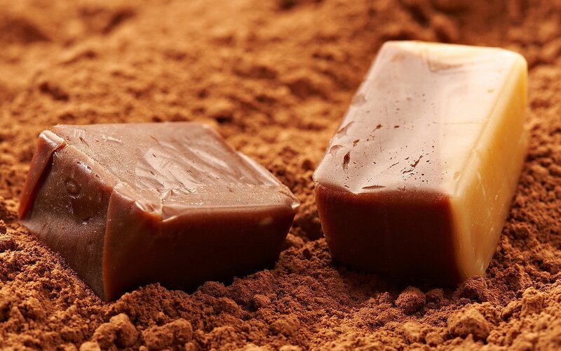 Chocolate Candies on Cocoa Powder — Brown