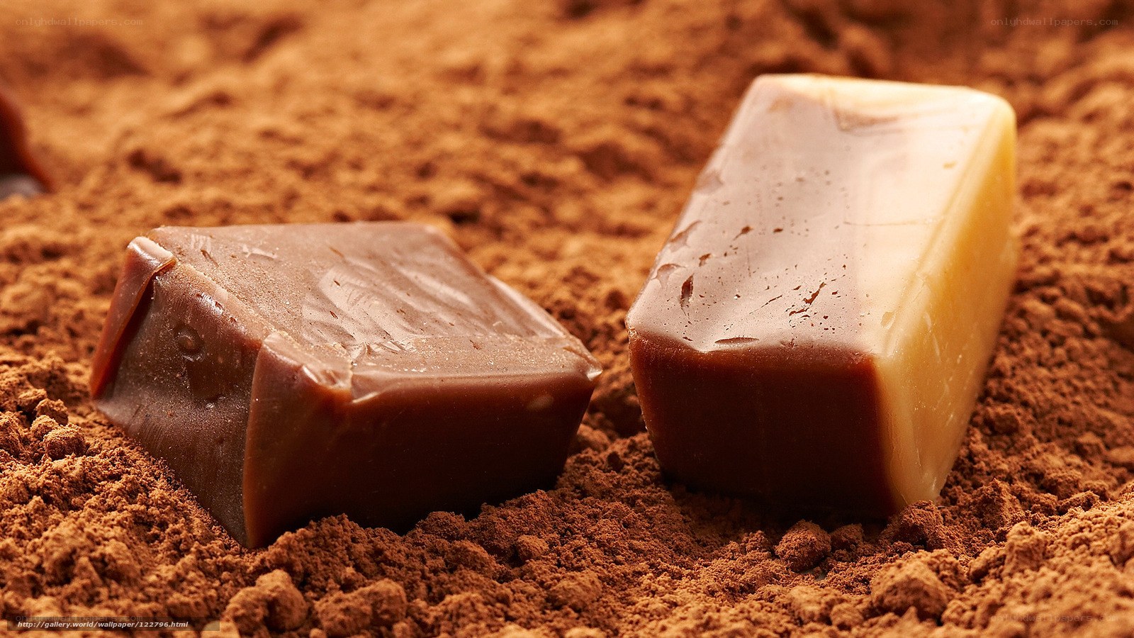 chocolate candies on cocoa powder