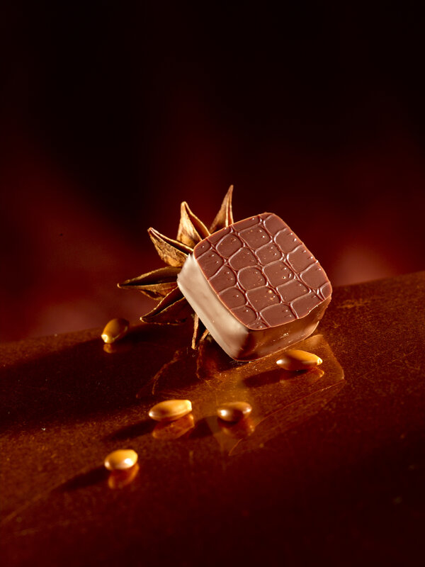Chocolate Candy with Star Anise — Brown, Dramatic