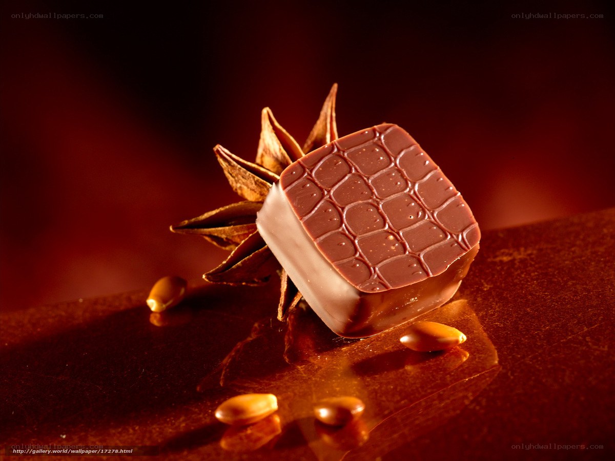 chocolate candy with star anise