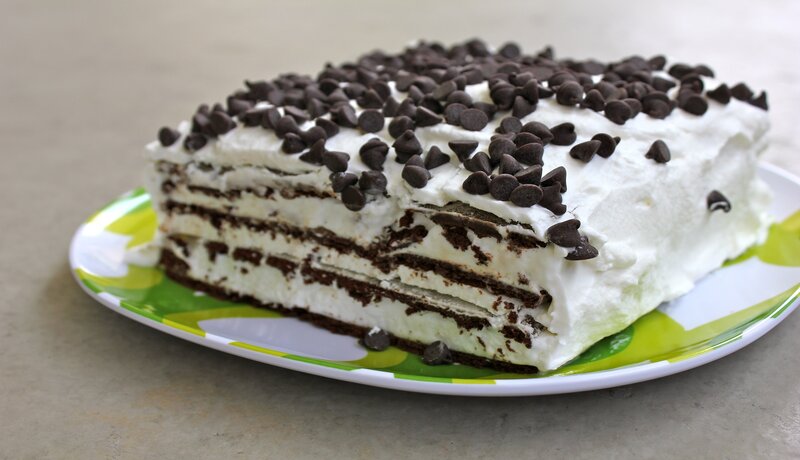 Chocolate Chip Cake