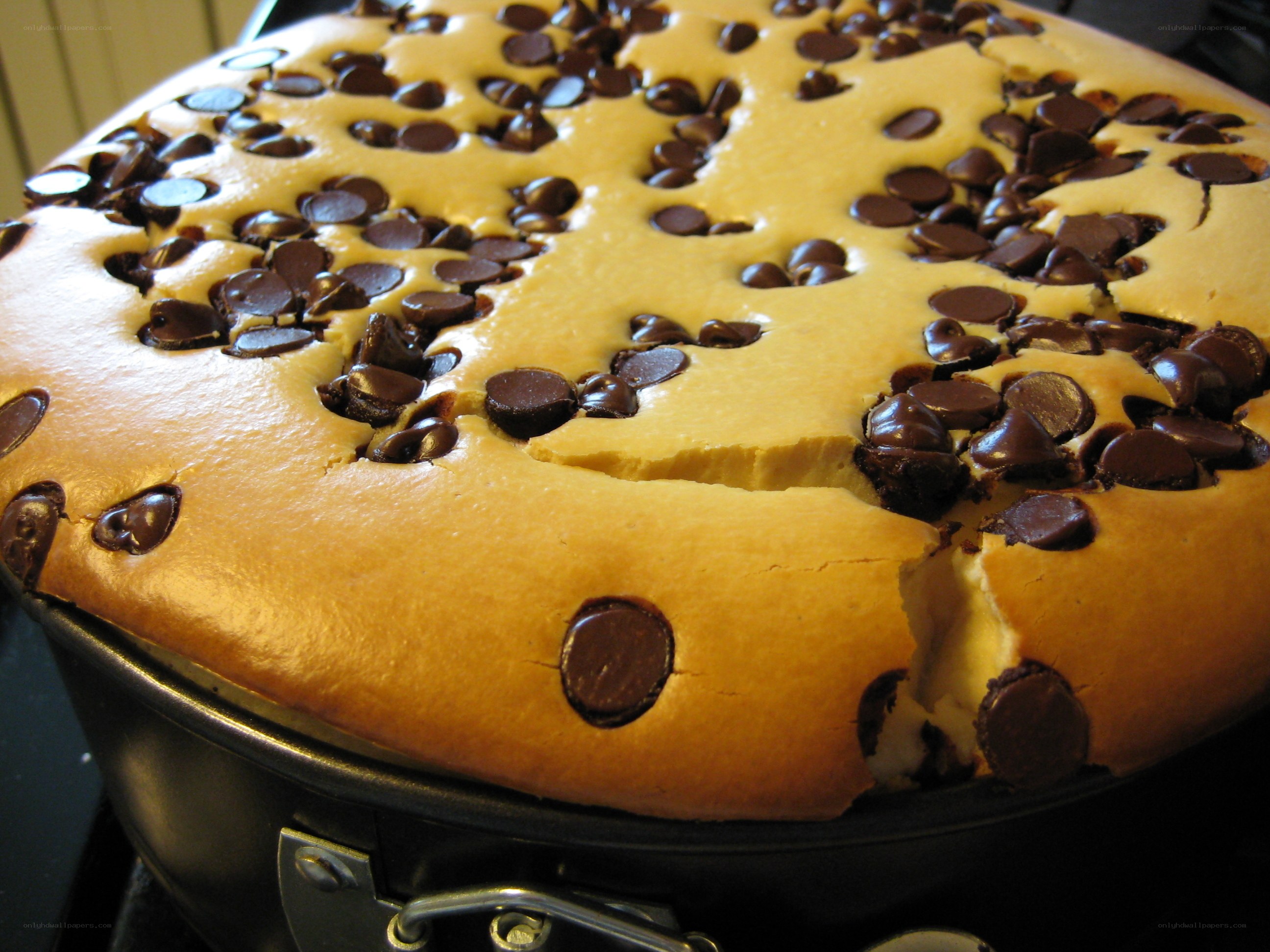 chocolate chip cheesecake