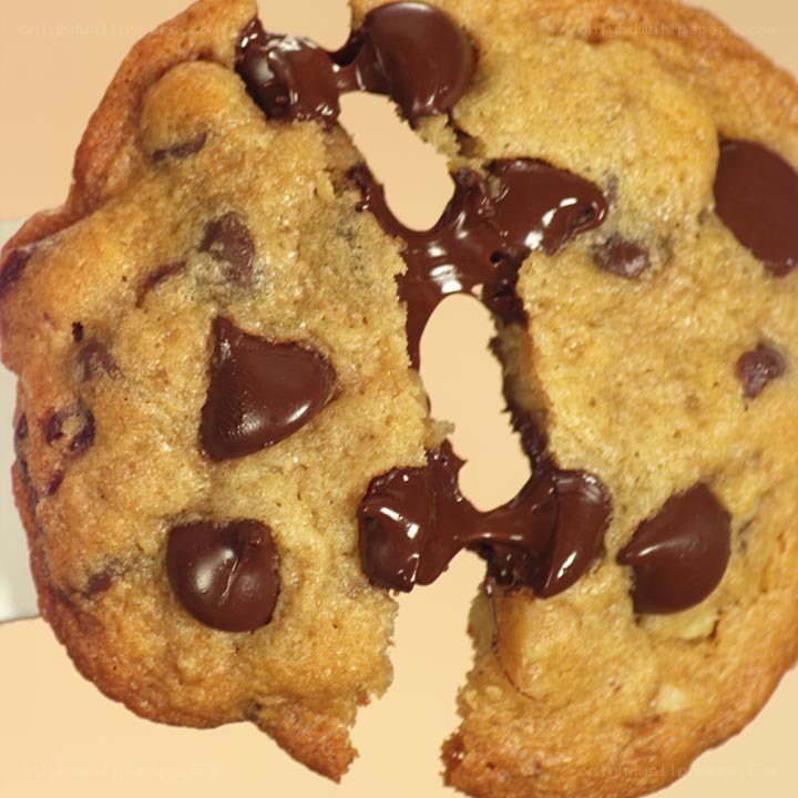 chocolate chip cookie