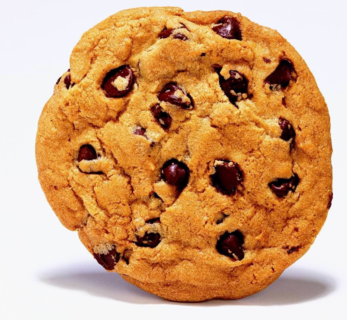 chocolate chip cookie