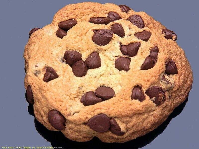 chocolate chip cookie