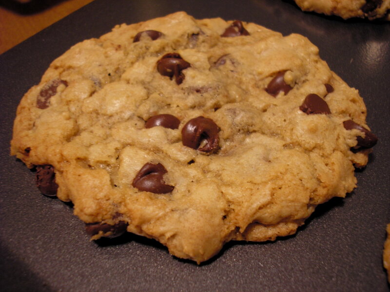 Chocolate Chip Cookie — Brown
