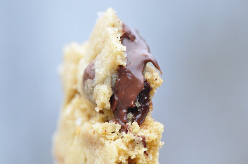 chocolate chip cookie close-up