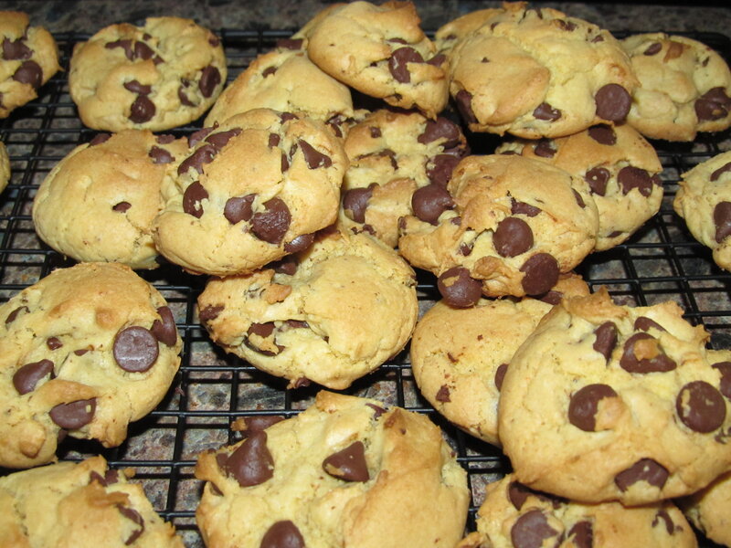Chocolate Chip Cookies — Brown, Warm