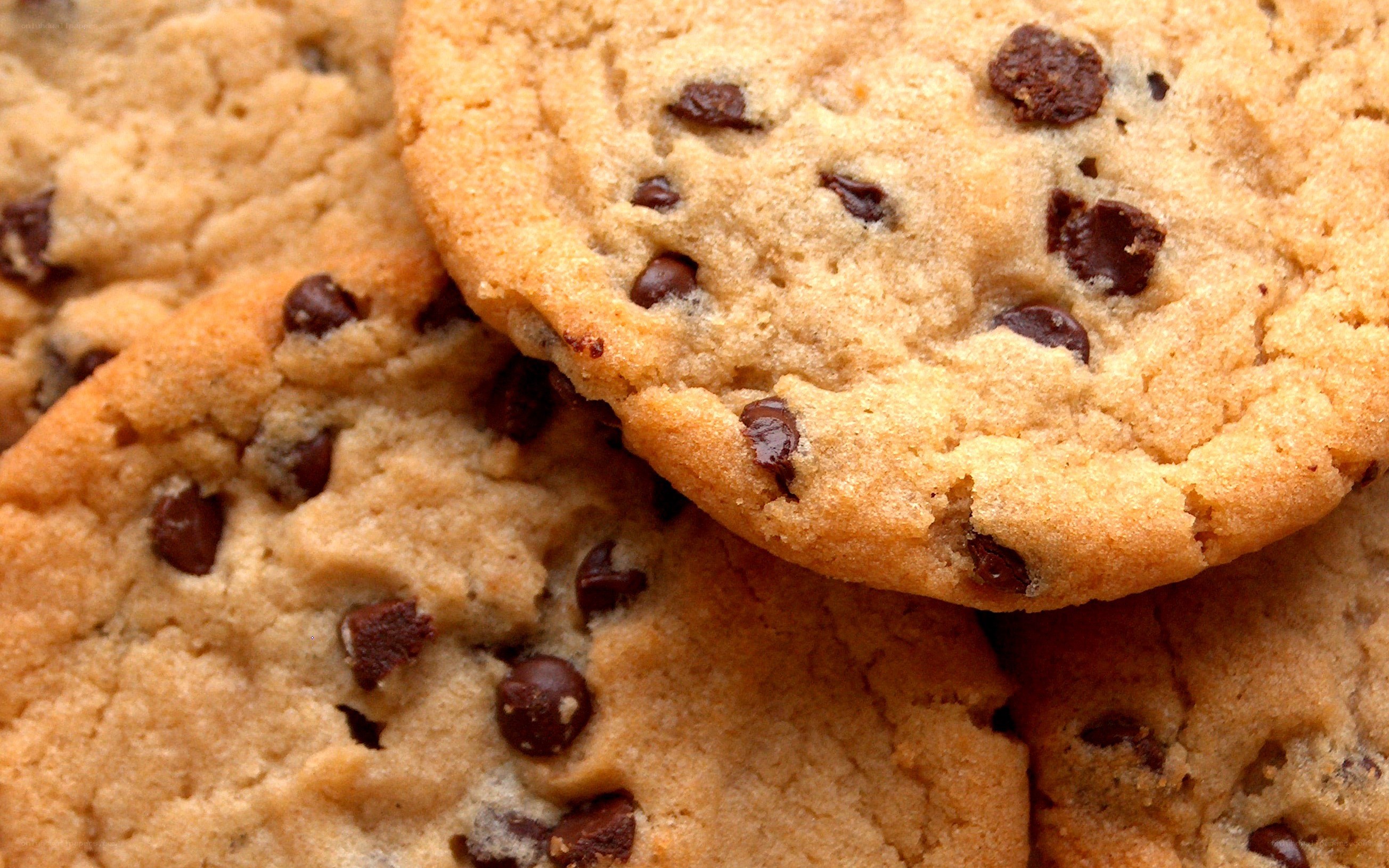 chocolate chip cookies close-up