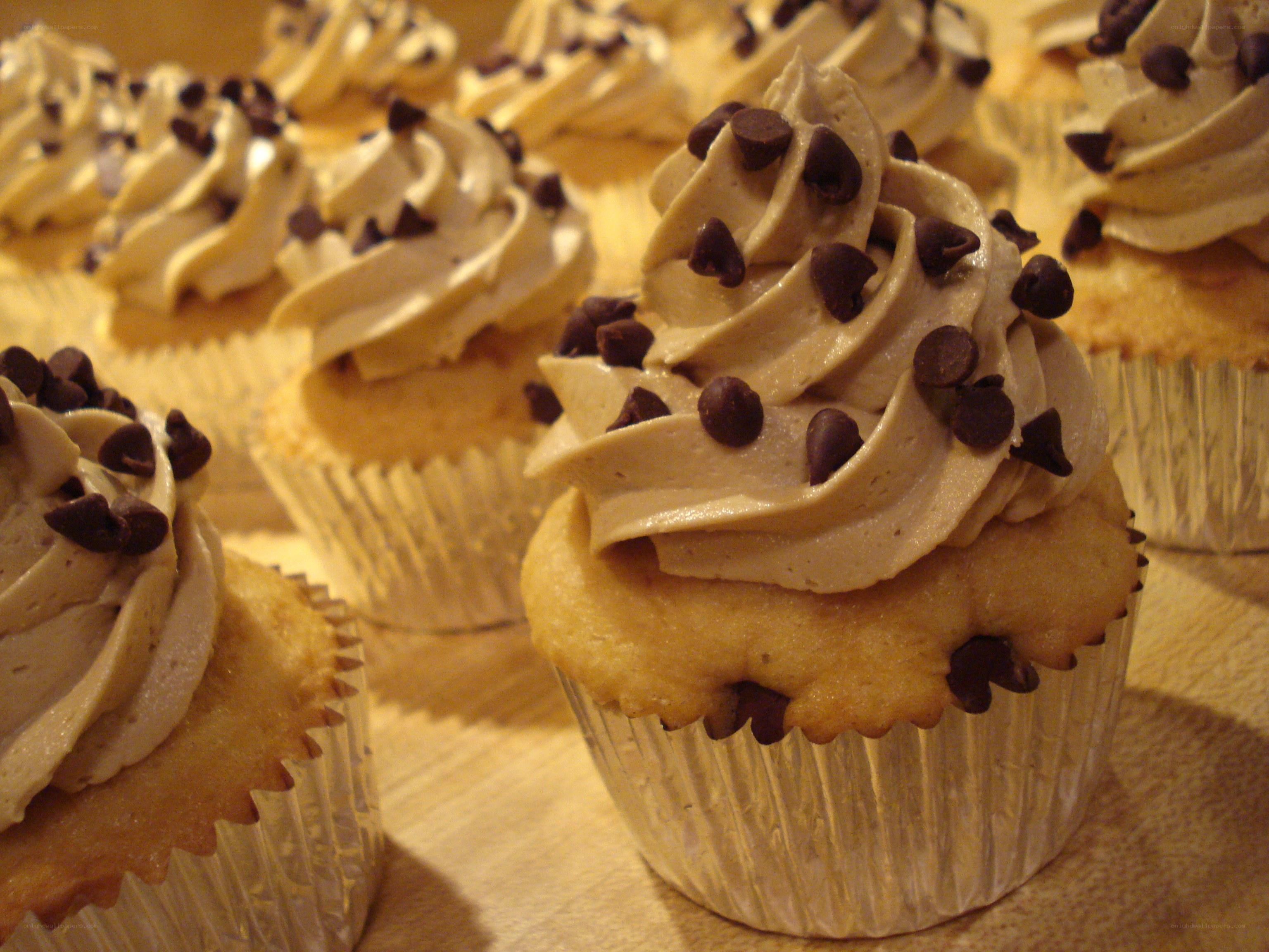 chocolate chip cupcakes