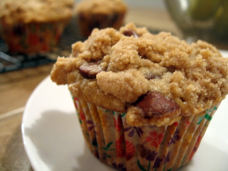 Chocolate Chip Muffin — Brown, Warm