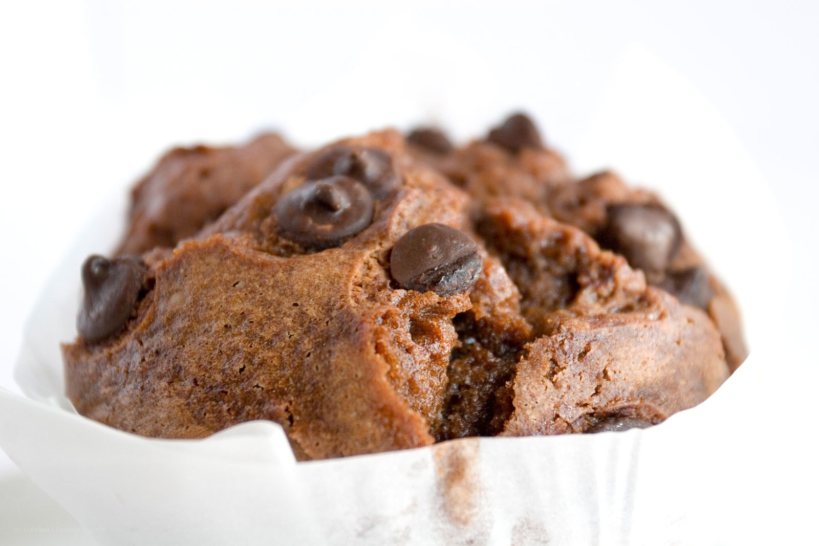 chocolate chip muffin