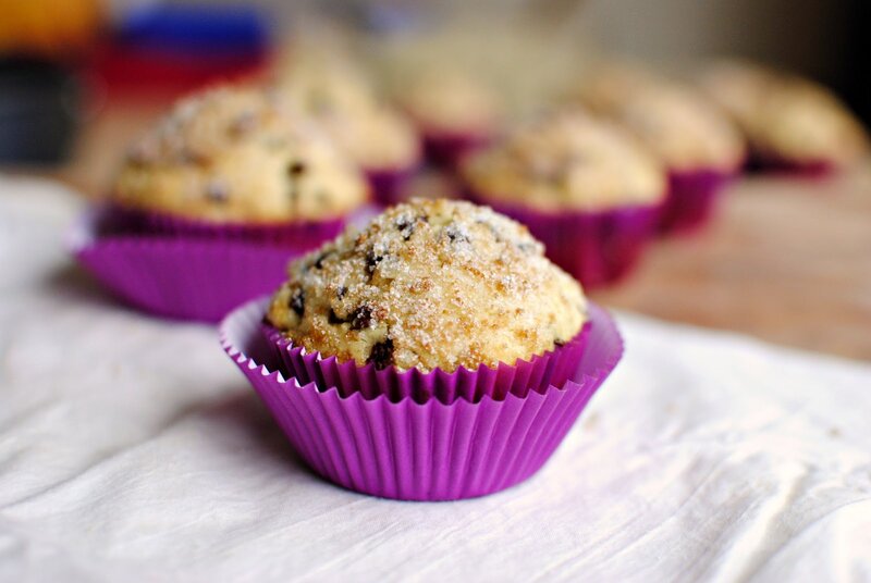 Chocolate Chip Muffins — Purple