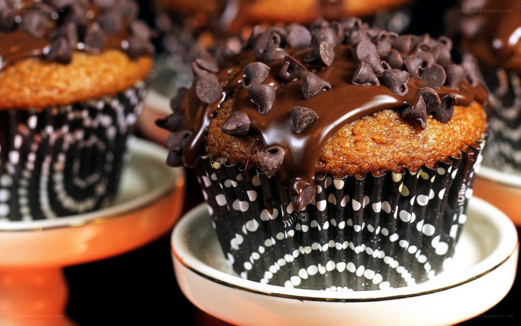 Chocolate chip muffins