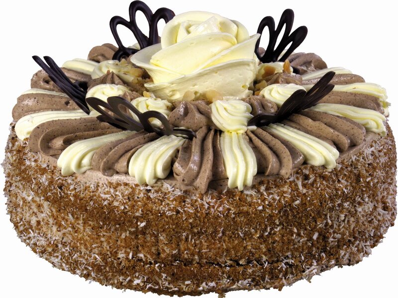 chocolate coconut cake