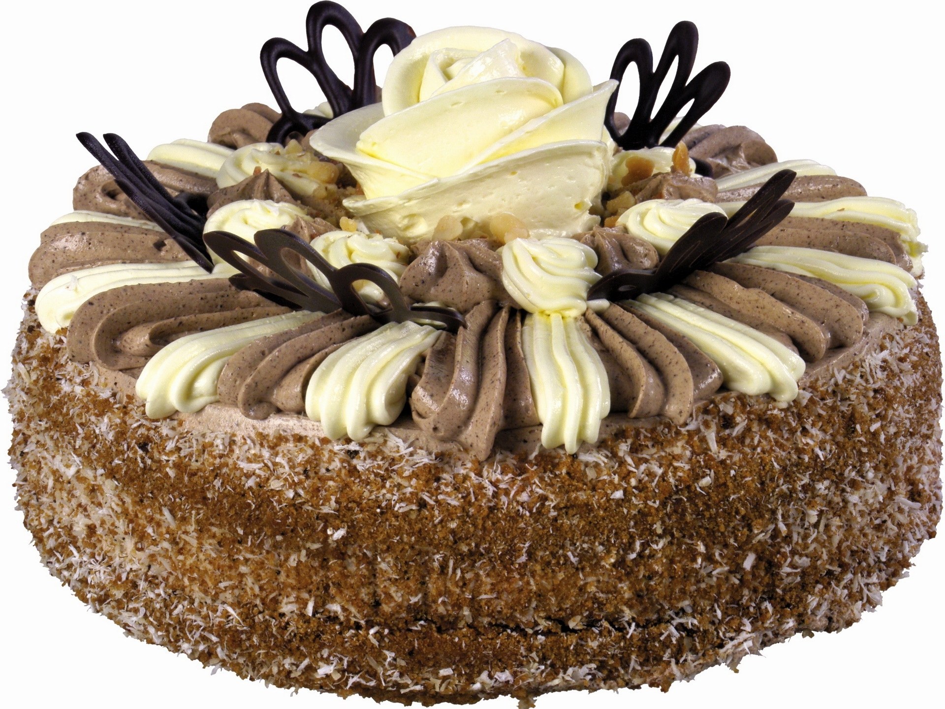 chocolate coconut cake