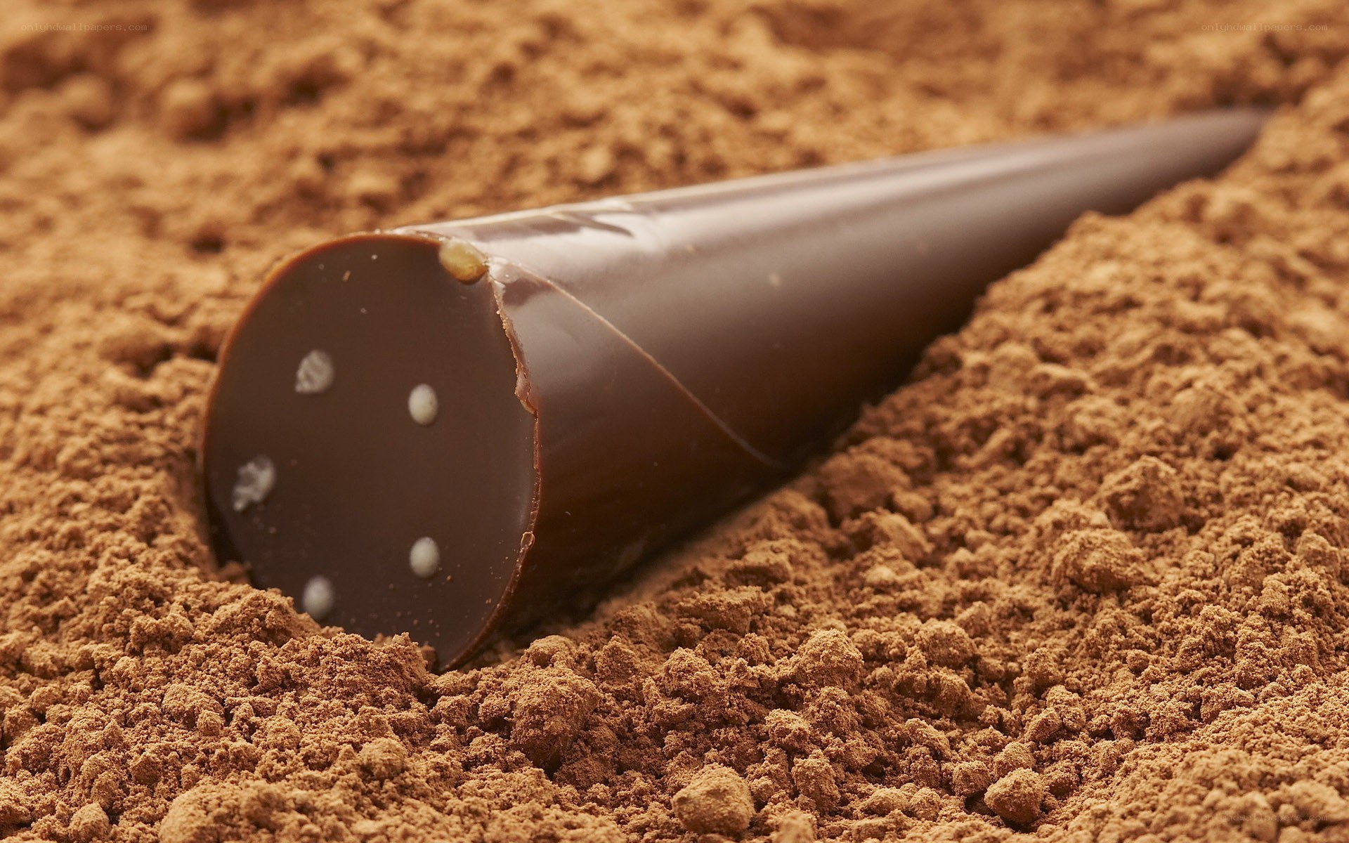 chocolate cone in cocoa powder