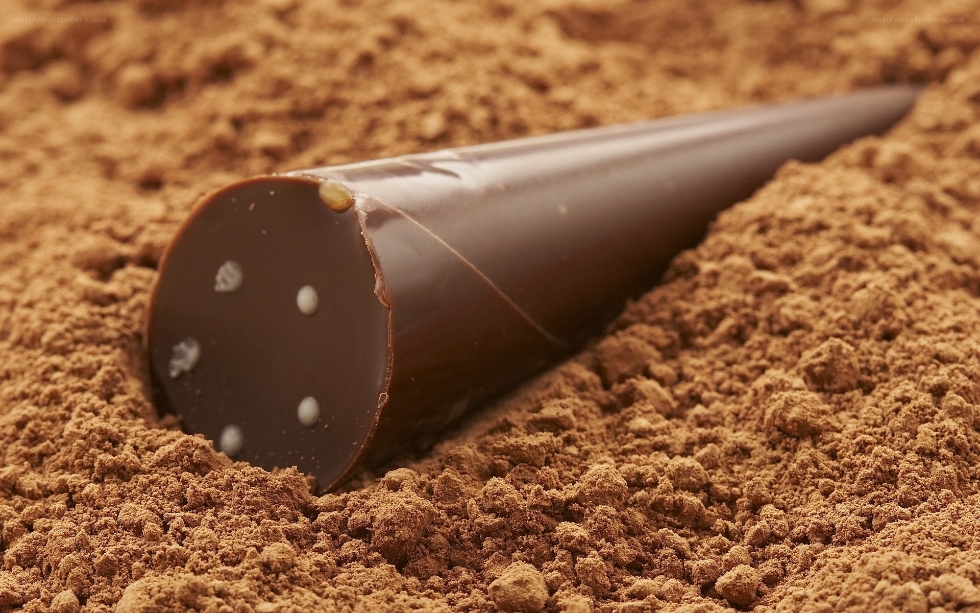 chocolate cone in cocoa powder