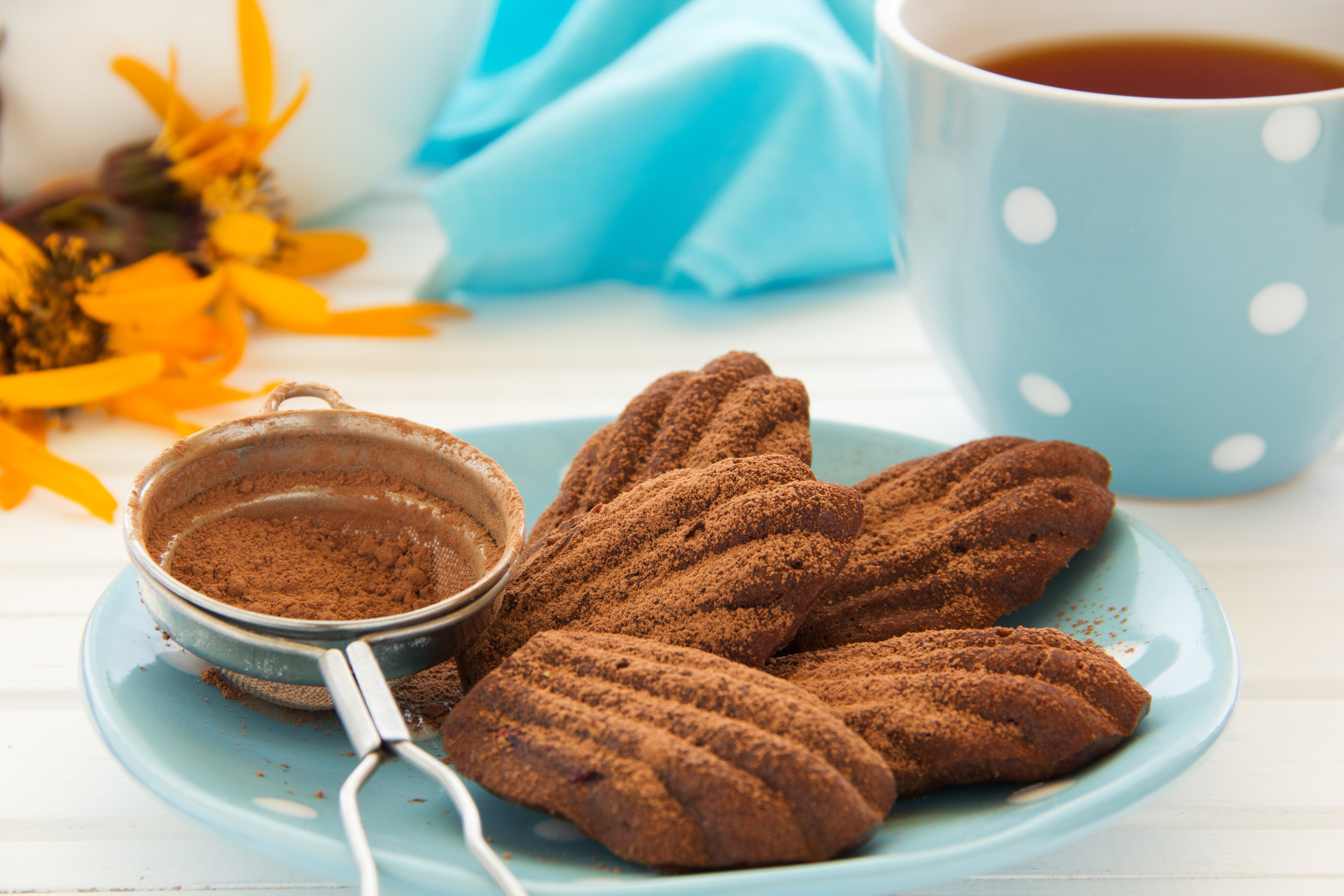 Chocolate cookies with cocoa powder