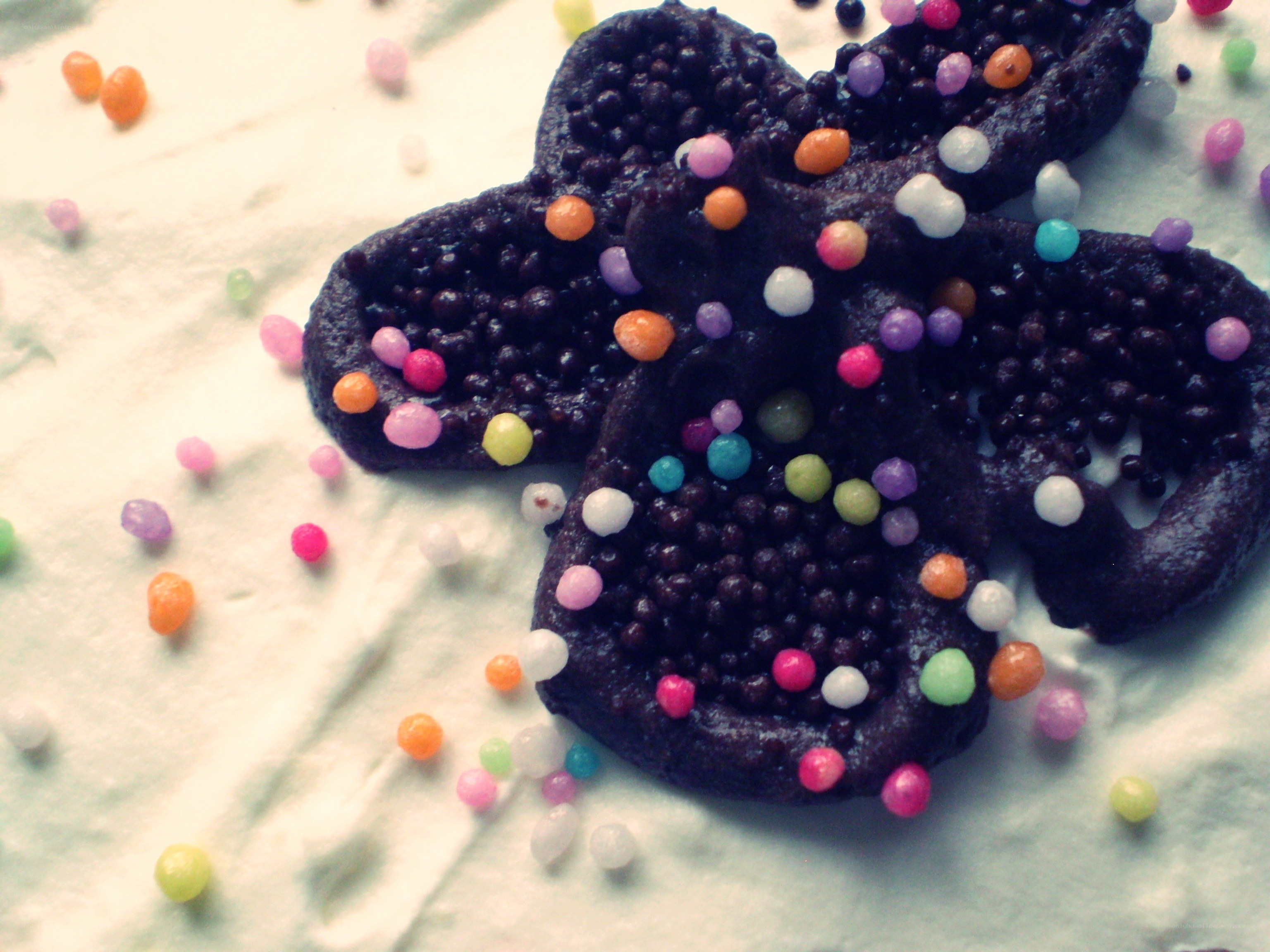 chocolate cookies with sprinkles