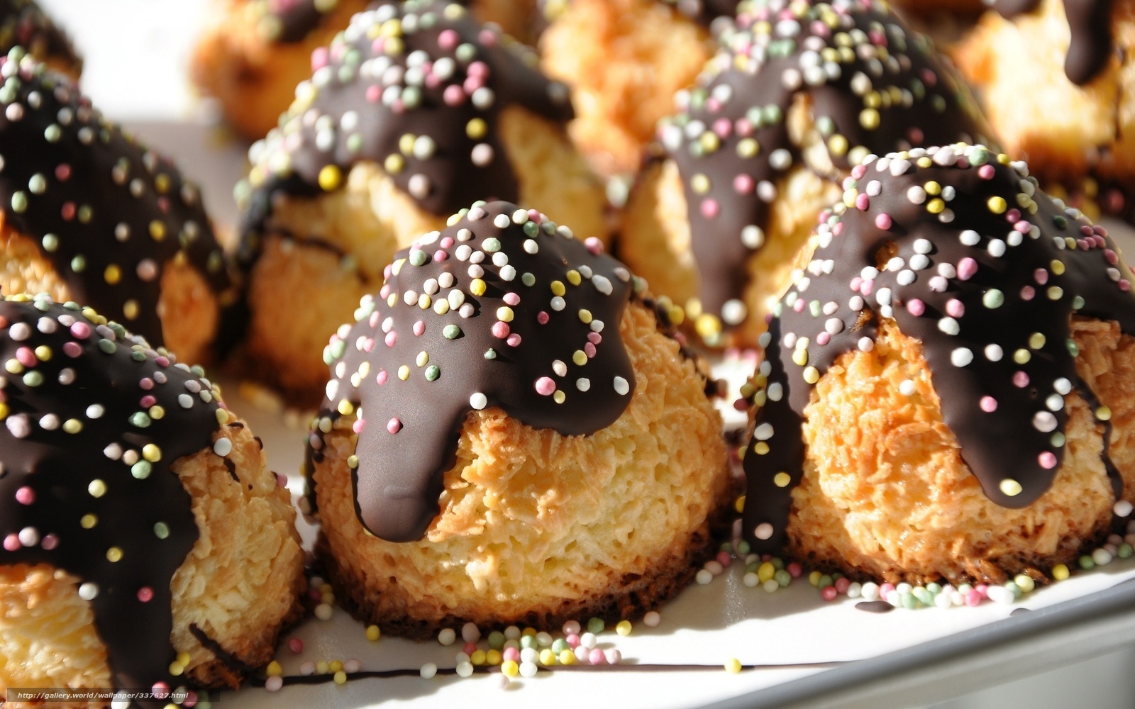 chocolate-covered coconut macaroons