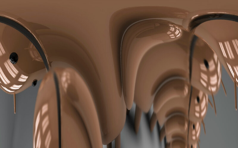 Chocolate-covered Objects