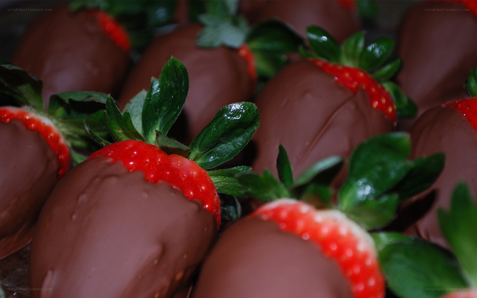 chocolate-covered strawberries