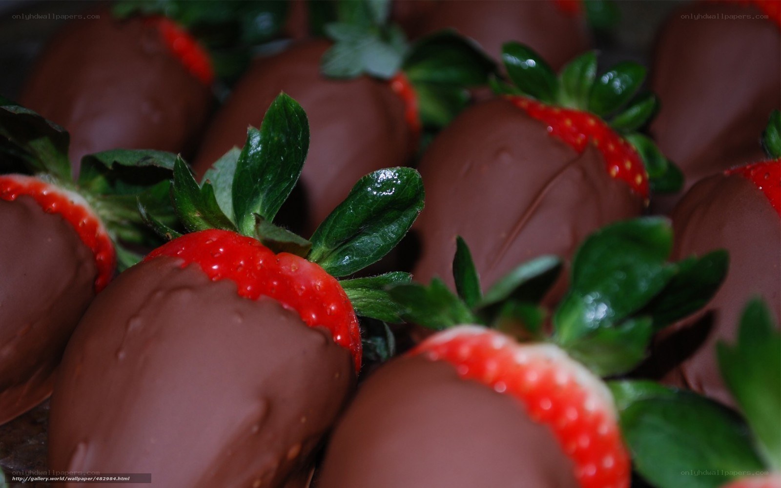 chocolate-covered strawberries