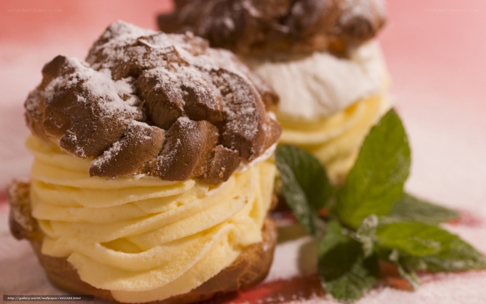 chocolate cream puffs with mint